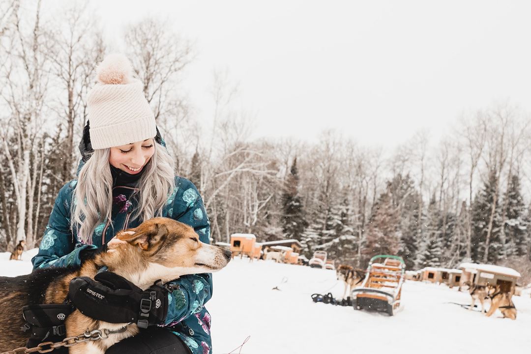 Chiens à l'Auberge du Lac Taureau